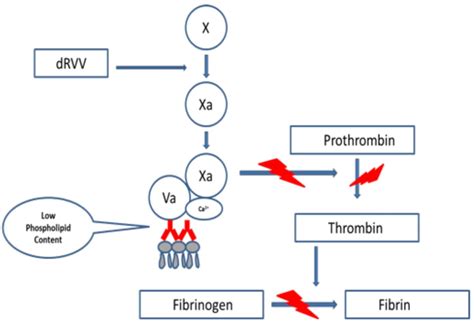 Anticoagulant lupic